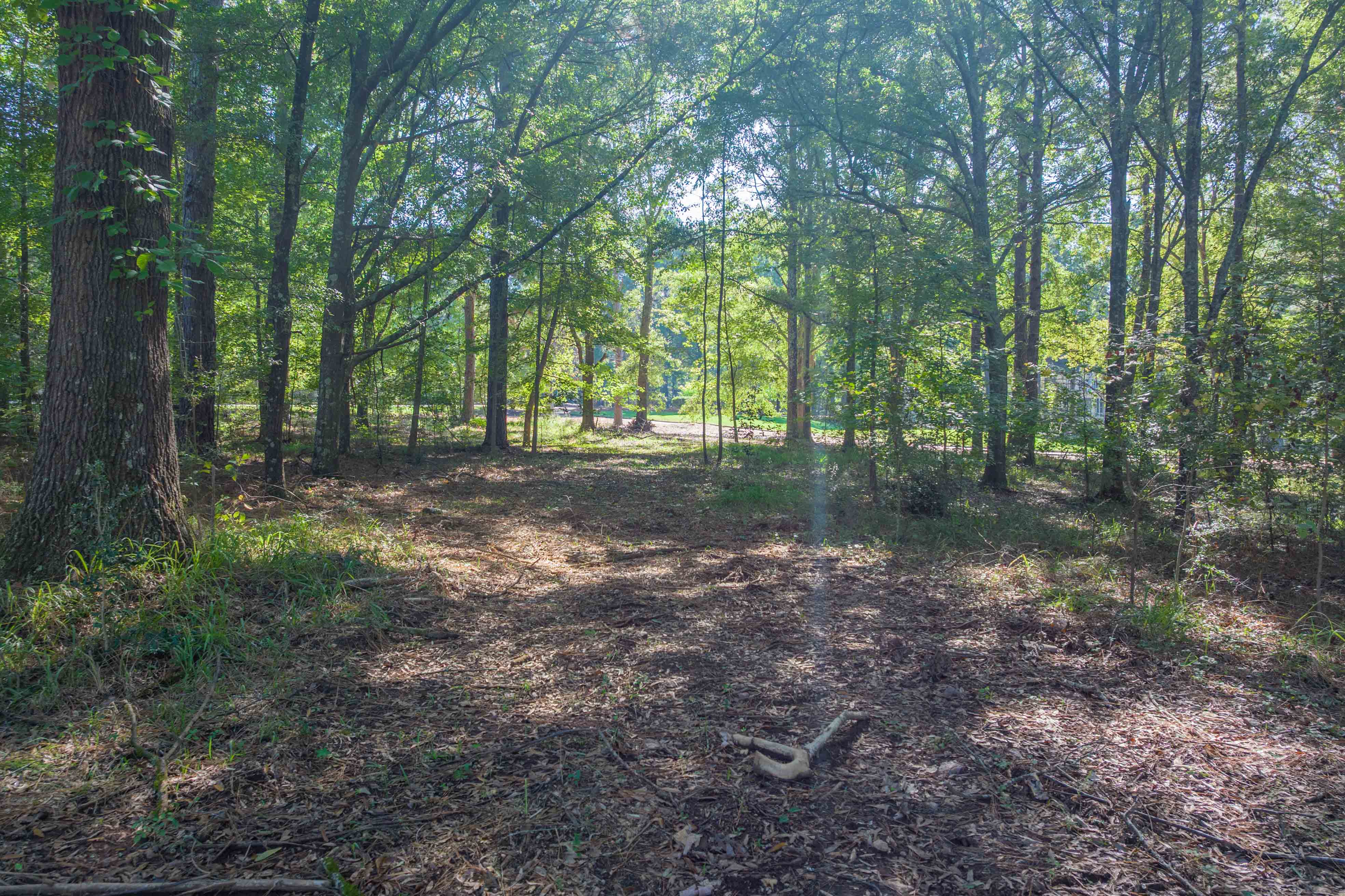 236 Broadlands Drive image 6